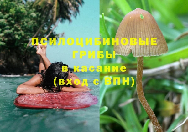 индика Алексин
