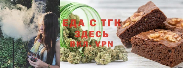 индика Алексин
