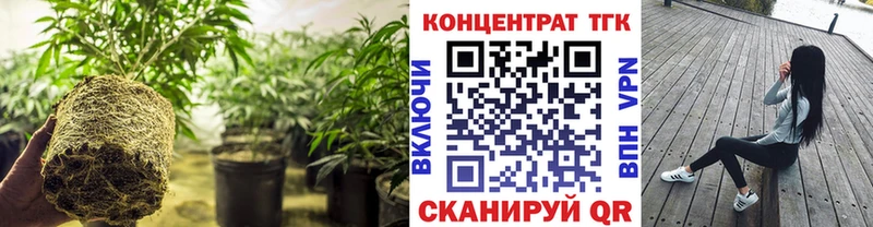 Дистиллят ТГК жижа  mega ССЫЛКА  Москва 
