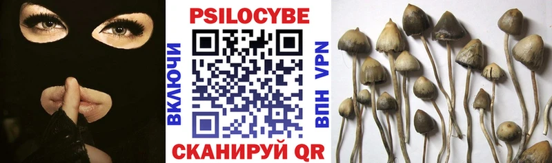Псилоцибиновые грибы Magic Shrooms  наркота  Москва 